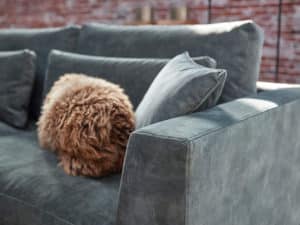 Hoekbank Carmen met lendenkussens in een Hunter groene velvet stof