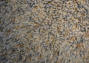 HG-carpets-Janger-Autumn-detail2.jpg