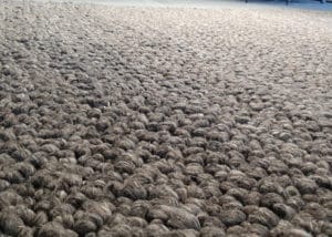 Vloerkleed-De-Munk-Casual-Allegra-detail.jpg
