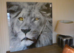 alu-art-lion-vierkant-2.jpg