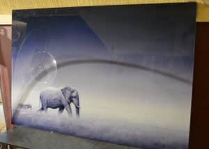 alu-art-olifant-en-zebra-2.jpg