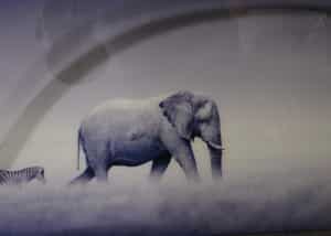 alu-art-olifant-en-zebra.jpg
