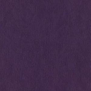 RELAPURP