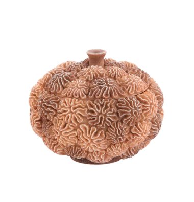 Decoratieve box Coral