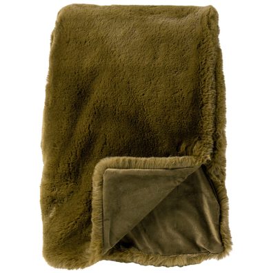 Plaid Zinzi Groen