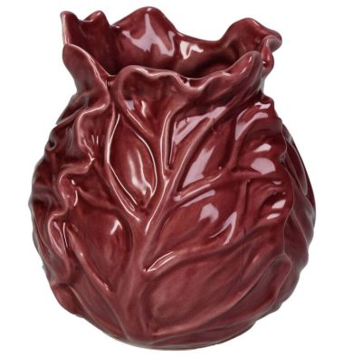 Vaas Cabbage Rood