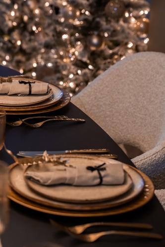 Kerstshoot - Jenny - Riley by Gusj, Ascot Pearl